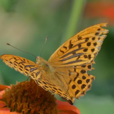 Source Nature Mas-d'Azil