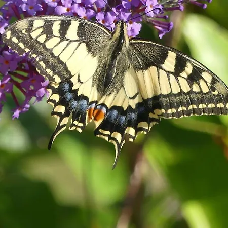Source Nature 4*