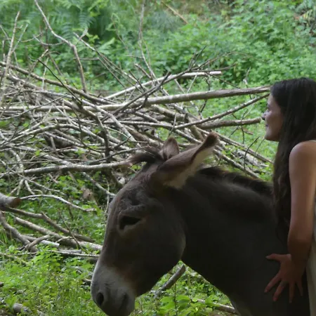 Source Nature Oda ve Kahvaltı