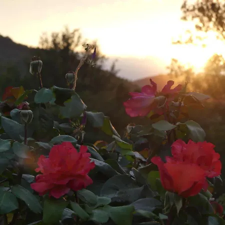 Source Nature לינה וארוחת בוקר 4*