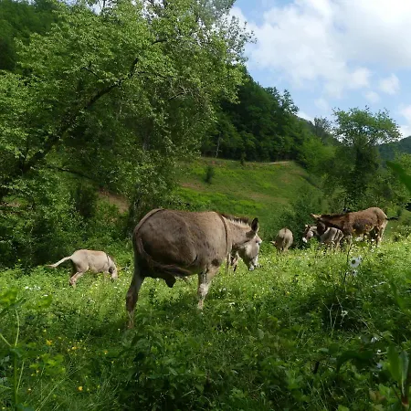Source Nature 4*