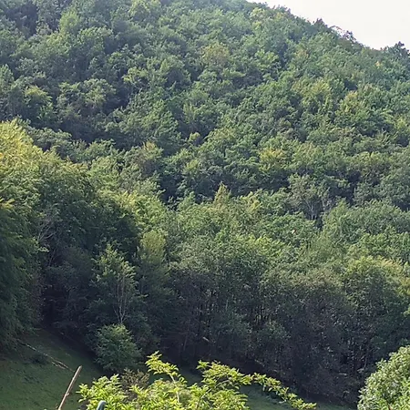 Source Nature לינה וארוחת בוקר 4*