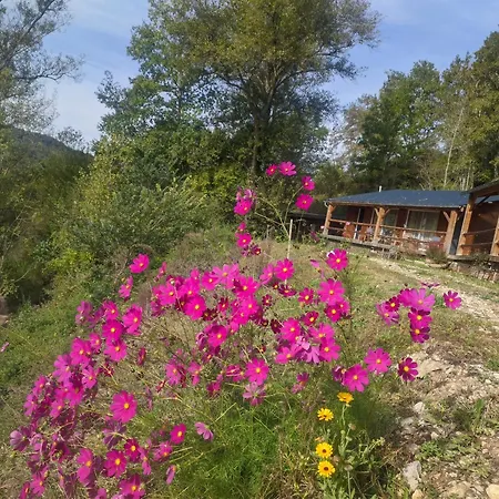 Source Nature 4*